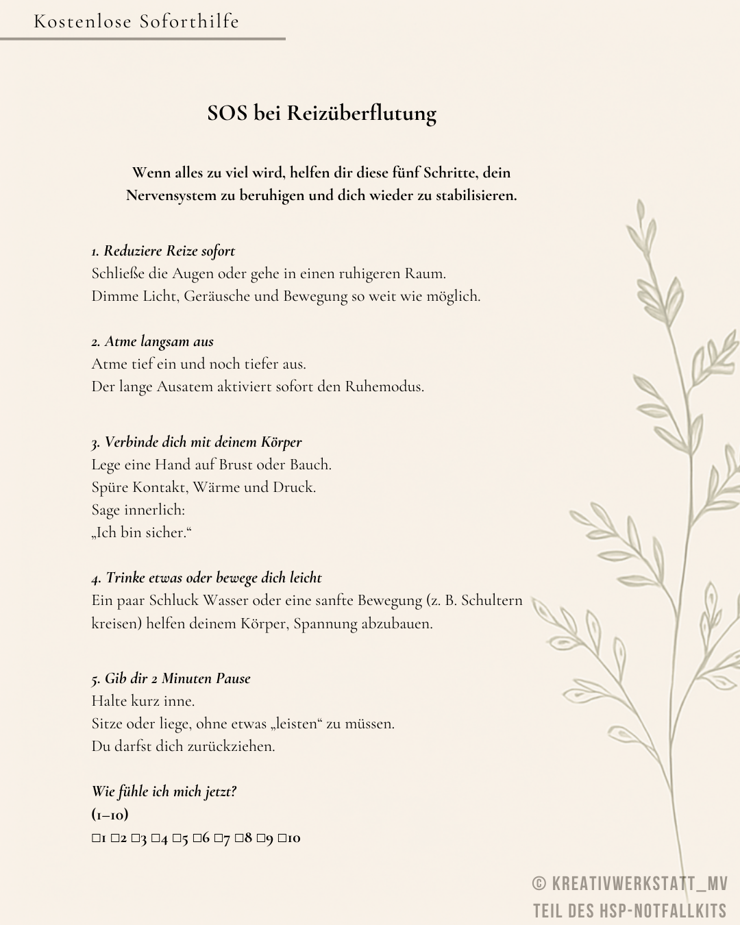 Kostenlose SOS-Seite bei Reizüberflutung (PDF)